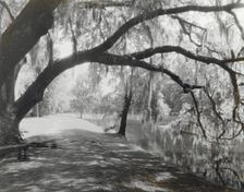 "Middleton Place," John Julius Pringle Smith house, 4300 Ashley River Road, Charleston, 1928. Creator: Frances Benjamin Johnston