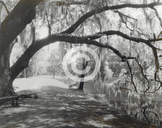 "Middleton Place," John Julius Pringle Smith house, 4300 Ashley River Road, Charleston, 1928. Creator: Frances Benjamin Johnston.