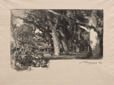 Midi sous bois. Creator: Auguste Louis Lepère (French, 1849-1918)