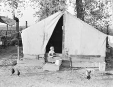 Migratory orange picker's camp, Exeter, California, 1936. Creator: Dorothea Lange