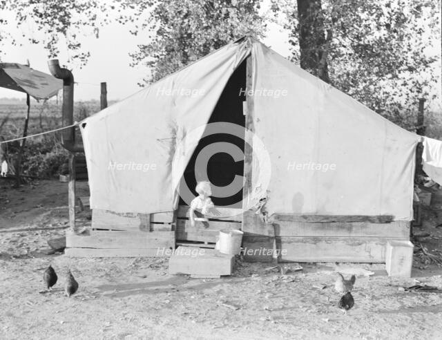Migratory orange picker's camp, Exeter, California, 1936. Creator: Dorothea Lange.