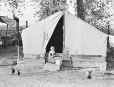 Migratory orange picker's camp, Exeter, California, 1936. Creator: Dorothea Lange