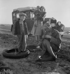 Migratory agricultural worker family along California highway. U.S. 99. 1937. Creator: Dorothea Lange