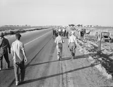 Migratory agricultural workers - cotton hoers, near Los Banos, California, 1939. Creator: Dorothea Lange