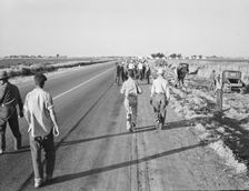 Migratory agricultural workers - cotton hoers, near Los Banos, California, 1939. Creator: Dorothea Lange