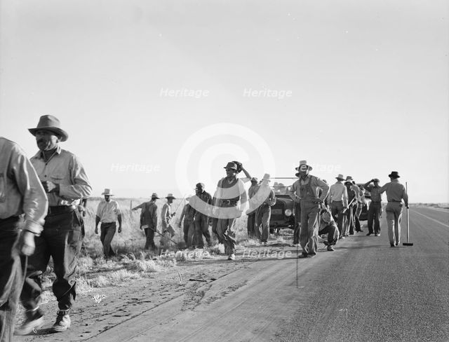 Migratory agricultural workers - cotton hoers, near Los Banos, California, 1939. Creator: Dorothea Lange.