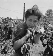 Migratory boy, aged eleven, and his grandmother..., near Independence, Polk County, Oregon, 1939. Creator: Dorothea Lange