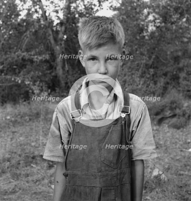 Migratory boy in squatter camp, Washington, Yakima Valley, 1939. Creator: Dorothea Lange.