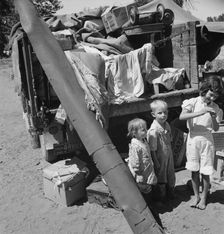Migratory children living in "Rambler's Park", Yakima Valley, Washington, 1939. Creator: Dorothea Lange