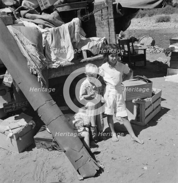 Migratory children living in "Rambler's Park", Yakima Valley, Washington, 1939. Creator: Dorothea Lange.