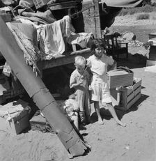 Migratory children living in "Rambler's Park", Yakima Valley, Washington, 1939. Creator: Dorothea Lange