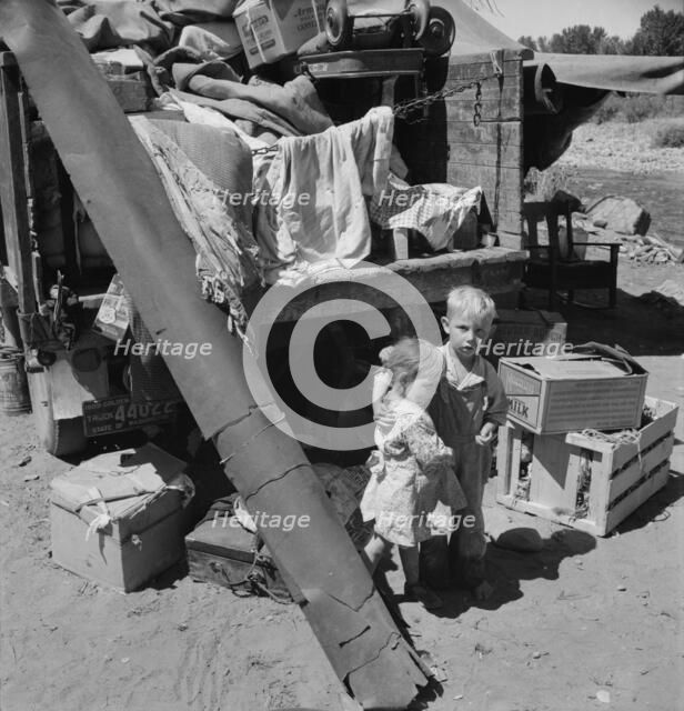 Migratory children living in "Rambler's Park", Yakima Valley, Washington, 1939. Creator: Dorothea Lange.