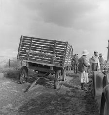 Migratory cotton pickers have stopped working because it started to rain, Kern County, CA, 1938. Creator: Dorothea Lange