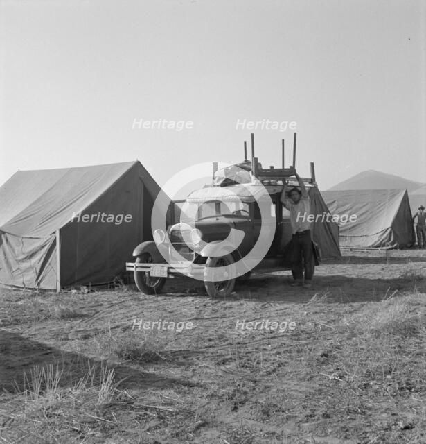 Migratory family, come to Klamath Basin for potato harvest..., Merrill, Klamath County, Oregon, 1939 Creator: Dorothea Lange.