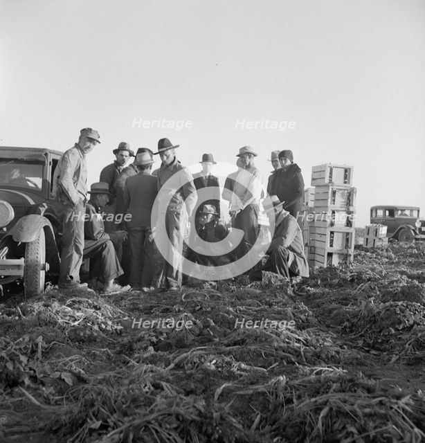 Migratory field workers at 5 a.m. waiting in the carrot field to hold a place to work, 1939. Creator: Dorothea Lange.