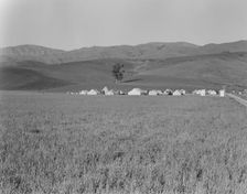 Migratory labor camp in the Santa Clara Valley, near San Jose, California, 1937. Creator: Dorothea Lange