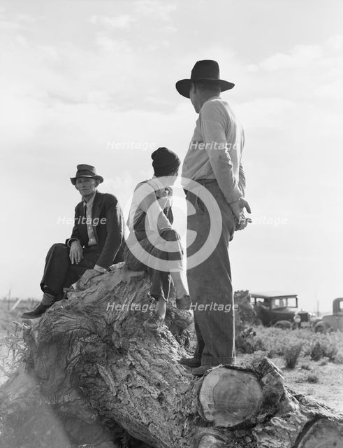 Migratory laborers, near Shafter, California, 1938. Creator: Dorothea Lange.