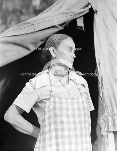 Migratory woman, Greek, living in a cotton camp near Exeter, California, 1936. Creator: Dorothea Lange.