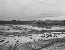 Migratory workers in winter quarters, Kern County, California, 1939. Creator: Dorothea Lange
