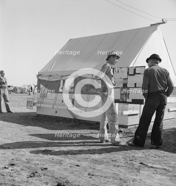 Migratory workers, pea harvest, FSA migratory labor..., Calipatria, Imperial County, 1939. Creator: Dorothea Lange.