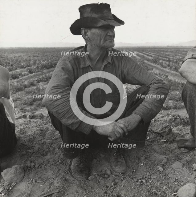 Migrant agricultural worker, Near Holtville, California, 1937. Creator: Dorothea Lange.