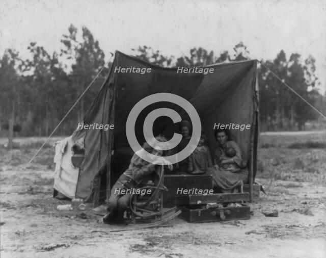 Migrant agricultural worker's family, Nipomo, California, 1936. Creator: Dorothea Lange.