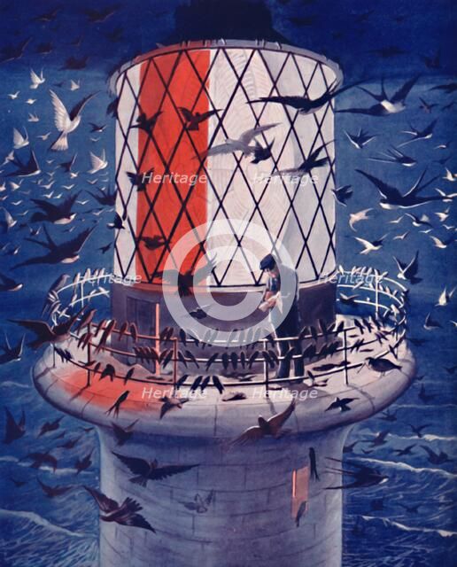 'Migrant Birds Visit the Lighthouse', 1935 . Artist: Unknown.