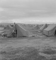 Migrant camp, Merrill, Klamath County, Oregon, 1939. Creator: Dorothea Lange