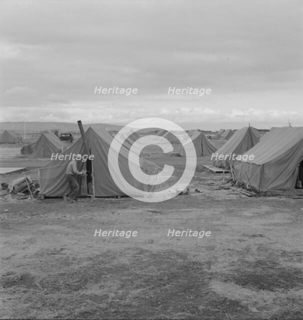 Migrant camp, Merrill, Klamath County, Oregon, 1939. Creator: Dorothea Lange.