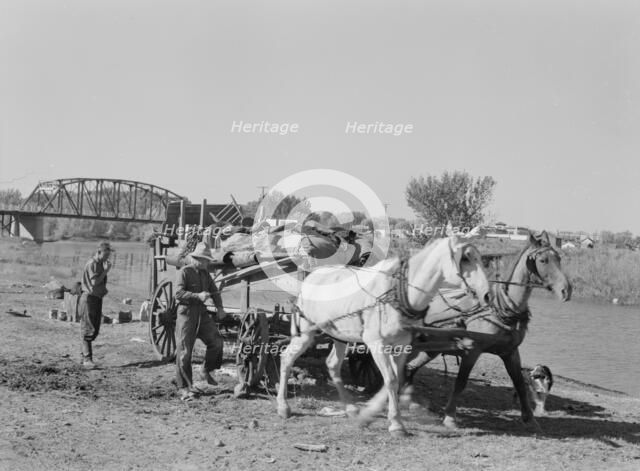 Migrant family cleaning up, near Vale, Malheur County, Oregon, 1939. Creator: Dorothea Lange.