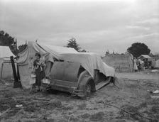 Migrant family looking for work in the pea fields, California, 1936. Creator: Dorothea Lange