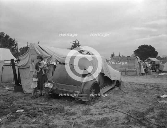 Migrant family looking for work in the pea fields, California, 1936. Creator: Dorothea Lange.