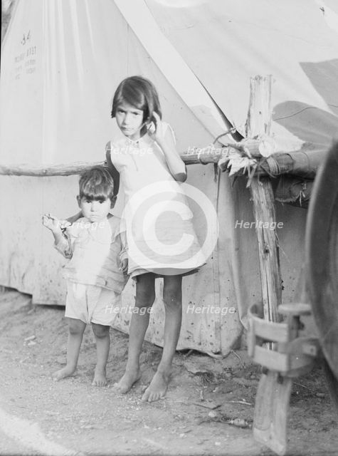 Migrant Mexican children in contractor's camp at time of early pea harvest, Nipomo, California, 1935 Creator: Dorothea Lange.