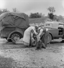Migrant pea pickers on the road, California, 1936. Creator: Dorothea Lange