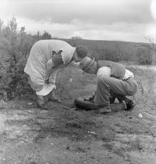 Migrant pea workers on the road with tire trouble, California, 1936. Creator: Dorothea Lange