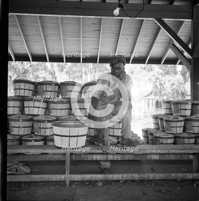 Migrant shed worker, Northeast Florida, 1936. Creator: Dorothea Lange.