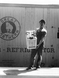 Migrant shed worker, Northeast Florida, 1936. Creator: Dorothea Lange