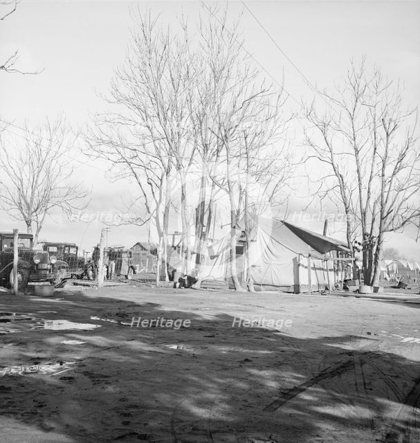 Migrants' winter quarters, Farmersville, Tulare County, 1939. Creator: Dorothea Lange.