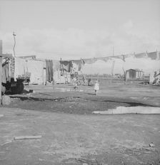 Migrants winter quarters, Farmersville, Tulare County, 1939. Creator: Dorothea Lange