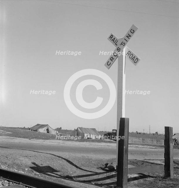 Migrants' tents...along the right of way of the Southern Pacific, near Fresno, CA, 1939. Creator: Dorothea Lange.
