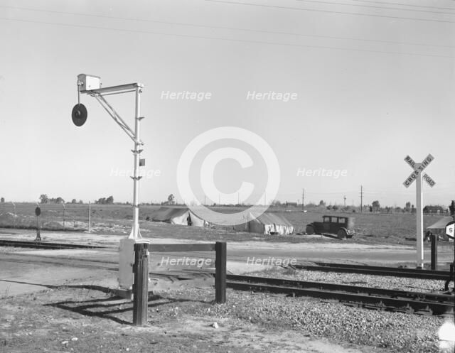 Migrants' tents..., along the right of way of the Southern Pacific, Near Fresno, California, 1939. Creator: Dorothea Lange.