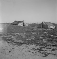 Migrants tents...the right of way of the Southern Pacific, near Fresno, California, 1939. Creator: Dorothea Lange