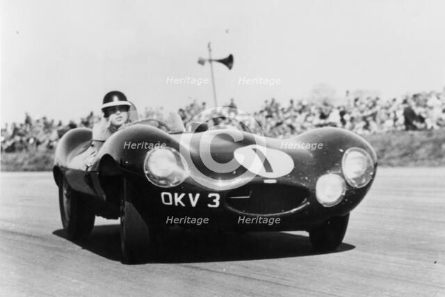 Mike Hawthorn driving a D Type Jaguar, c1955-c1956. Artist: Unknown