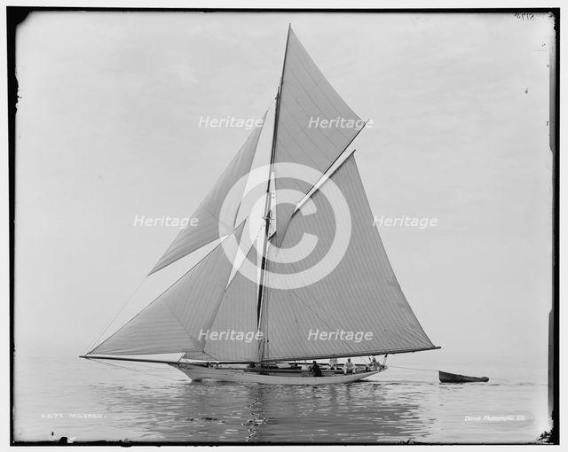 Mildred, between 1890 and 1899. Creator: Unknown.