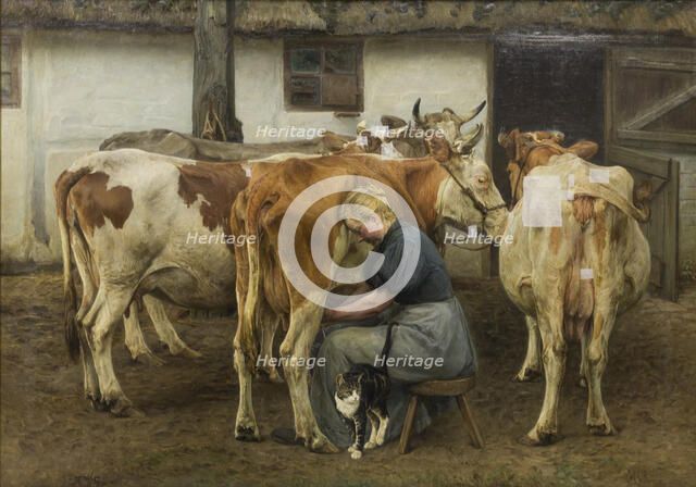 Milking the Cows. West Jutland, 1897-1899. Creator: Niels Pedersen Mols.