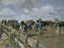 Milking of the cows, undated. (c1920s) Creator: Carl Fahringer