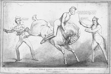 Military Rough-Riders Breaking an Unruly Animal 1833. Creator: John Doyle