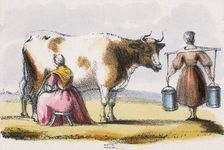 Milk c1845. Artist: Benjamin Waterhouse Hawkins