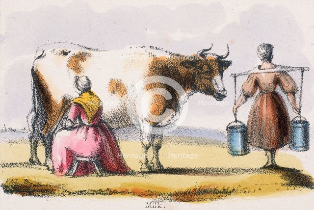 'Milk', c1845. Creators: Benjamin Waterhouse Hawkins, Robert Kent Thomas.