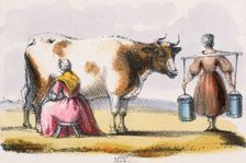 Milk c1845. Creators: Benjamin Waterhouse Hawkins, Robert Kent Thomas